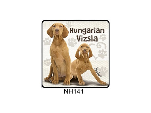(NH141) Hűtőmágnes 7,5 cm x 7,5 cm - Hungarian Vizsla – Kutyás ajándékok